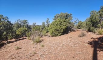 Tbd State Route 260, Clay Springs, AZ 85923