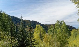 39 Roaring Fork Dr, Aspen, CO 81611