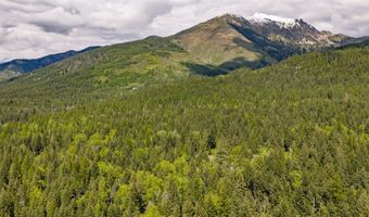 Nhn Red Hawk Drive, Bigfork, MT 59911