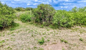 900 N Johnson Street Lot 69 70, Alice, TX 78332