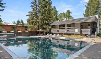 1039 E Cooper Ave 20, Aspen, CO 81611