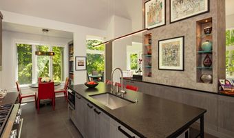 205 N 6th St, Aspen, CO 81611