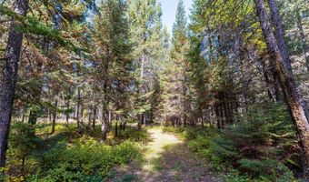 171 Jewel Basin Rd, Bigfork, MT 59911