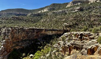 TBD X4 Road, Bedrock, CO 81411