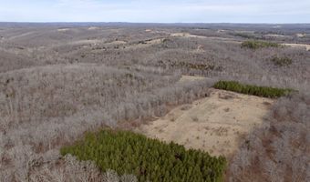 000 County Road U-105A, Ava, MO 65608
