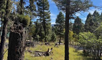 Calle de los Indios lot 101, Angel Fire, NM 87710