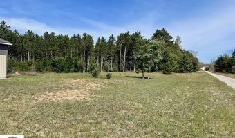16962 Vondra, Thompsonville, MI 49683