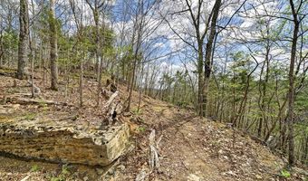1089 Cornerstone Pkwy Lot 1A & D, Allons, TN 38541