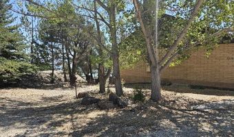 2026 Masonic Dr, Gardnerville, NV 89410