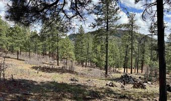 1142 Deer Ridge Dr, Bayfield, CO 81122