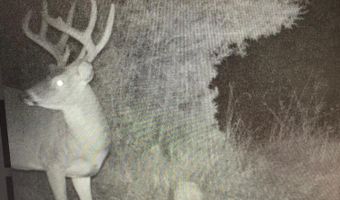 001 Farr Rd, Bolton, MS 39041