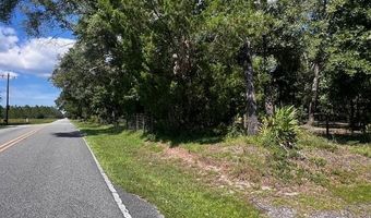 4700 55th Ave, Bell, FL 32619