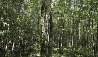 0 Highway 31, Bay Minette, AL 36507