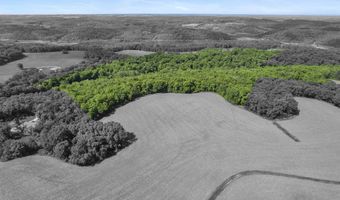 33 44 Acres Zwettler Rd, Arena, WI 53517