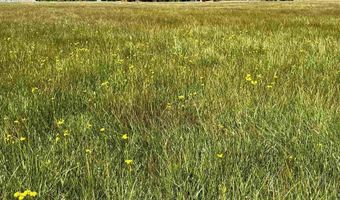 156 Forest Ln, Bayfield, CO 81122