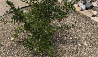 301 NEW VENTURE Rd, Clarkdale, AZ 86324