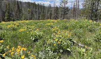 Tbd Nwne DEER HAVEN Road, Bondurant, WY 82922