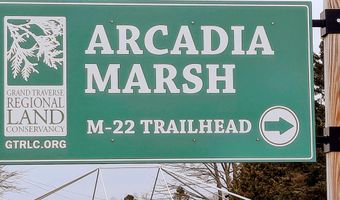 16890 Valley Wood Ct, Arcadia, MI 49613