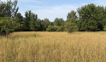 9653 52nd Ave, Allendale, MI 49401