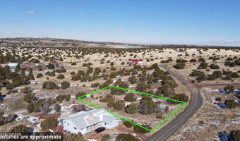 83 County Road 5083, Concho, AZ 85924