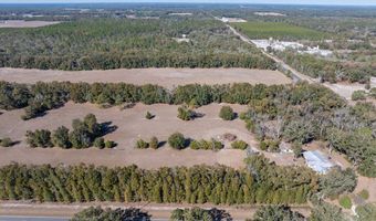 County Road 236 lot 5, Bell, FL 32619
