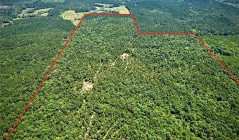 000 William Colvin Rd, Bernice, LA 71222