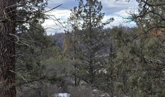 Jaguar Lane Lot 7 & 8, Bonanza, OR 97623