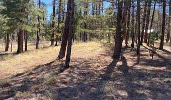 000 COUNTY ROAD 2191 LOT 46, Alpine, AZ 85920