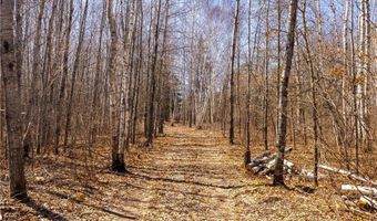 Tbd 285th Avenue, Akeley, MN 56433