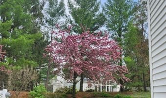985 Goldenrod Trl, Aurora, OH 44202