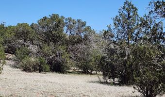 Ranch And Cattle lot 13, Ash Fork, AZ 86320