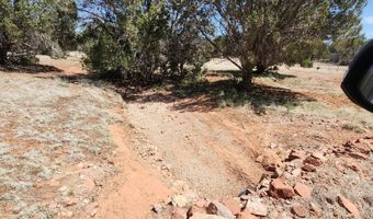 Lot 13 Ranch And Cattle, Ash Fork, AZ 86320