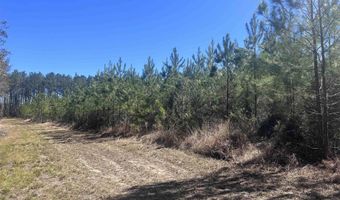 4 Robinsonville Rd, Atmore, AL 36502