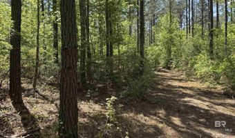 Ronald Sanks Road, Bay Minette, AL 36507