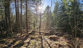 512 Woodbury Mountain Rd, Calais, VT 05648