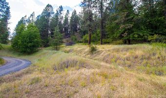 0 Whitetail Dr, Ahsahka, ID 83520