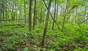 Lt3 County Road N, Arkansaw, WI 54721