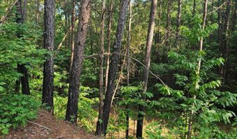 0 CO RD 3973, Arley, AL 35541