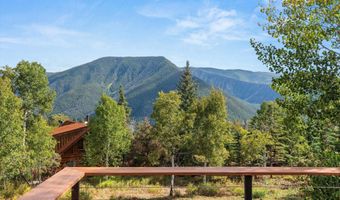 320 Hawk Ln, Basalt, CO 81621