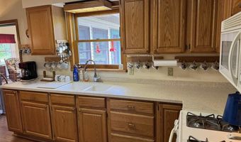 6955 Cedar, Alanson, MI 49706
