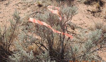 0 Canilla Loop, Belen, NM 87002