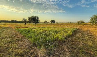 225 County Road 1475, Alvord, TX 76225