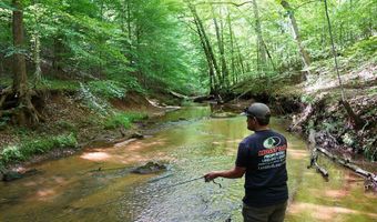 843 Wilson Mill Rd, Bassett, VA 24055