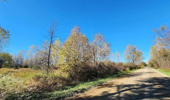 00 Farley, Almont, MI 48003