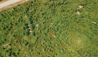 Copeland Ridge Road, Arkadelphia, AR 71923