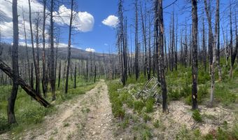 2493 Greer Rd, Bellvue, CO 80512