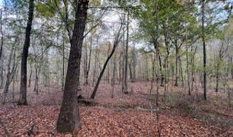 Perry Chapel Road, Ashland, MS 38603