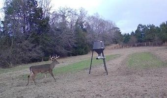 Hwy 131, Baker Hill, AL 36027