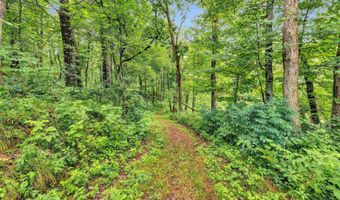 6974 WOODLAND Ln, Amherst, WI 54406