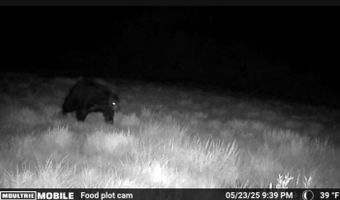 0000 CTH H, Antigo, WI 54409